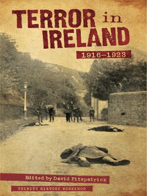 cover image of Terror in Ireland 1916-1923